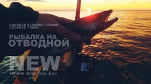 РЫБАЛКА на ОТВОДНОЙ поводок. Cadence Primo + катушка Cadence Essence 4000MG. Лучшая катушка 2024 ?!