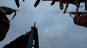 СААСКЫ КУС - ТУБЭ 2024