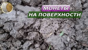 0811 / По следам пропавших деревень 8 / В поисках монет и кладов с XP Deus 2