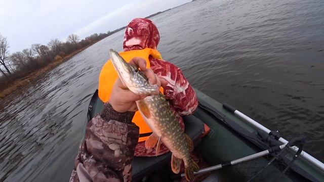 В поисках #щуки или как провести выходной смотреть онлайн