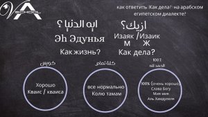 Египетский диалект в действии: Как называть свою работу и национальность