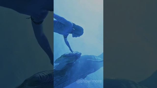 Avtar vs DC | all heroes from both | #avtar #dc #marvel смотреть онлайн