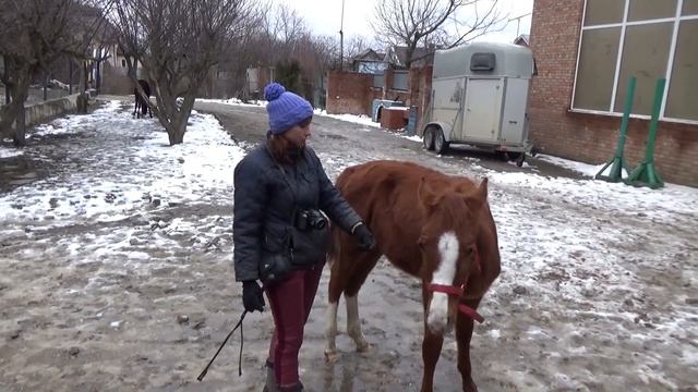 Гелий учится гнуться Начало смотреть онлайн