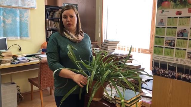 Якія яблыкі карысныя для здароўя? – «Свая зямля» смотреть онлайн