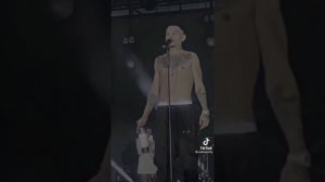 Золотые слова Эдисона и Моргинштэрна видео из Тик Тока