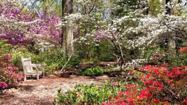 красота это весна смотреть онлайн