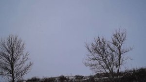 Родник в селе Кувшинное, Курская Область