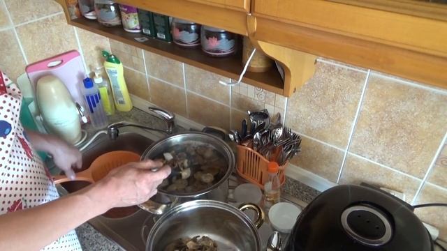 Грибы Опята как правильно заморозить грибы на зиму смотреть онлайн