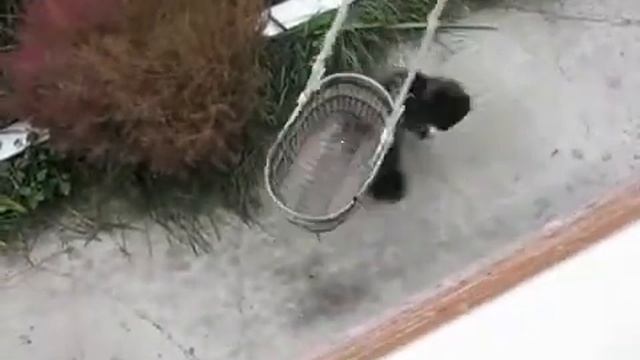 Лифт вызывали? смотреть онлайн