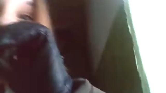 Blog:гуляю со Златой....