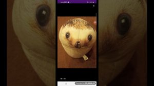 все виды Хренобуса