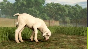 Козы за 25 секунд | FS25  #farmingsimulator25  #fs25 #farminggame