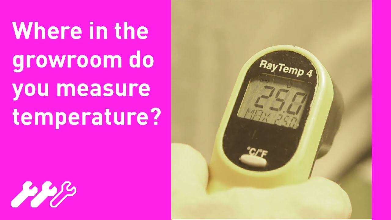 #27 - How to measure hydroponic grow room temperature with Greenfinger Hydroponics