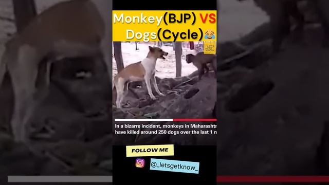 The Untold war : Monkeys Vs Dogs | Gangwar held in maharashtra - Roast with facts смотреть онлайн
