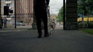 VladLaws music "Ты должен знать"