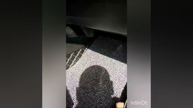 Exeed TXL. Видео отзыв о 3D ковриках из экокожи в салон и багажник.