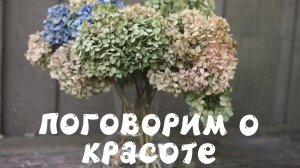 Поговорим о красоте