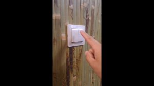 Двухканальное "умное" реле Zigbee для управления освещением в умном доме с Алисой.