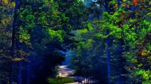 Хотела спасти жизнь мужа, но в результате он выгнал её из дома. Но очень скоро она его проучила