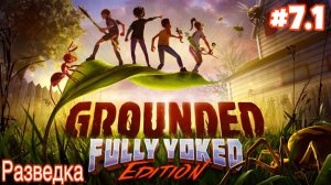 Grounded #7.1 (Прохождение) Стол для пикника, Лабиринт минотавра, Гнездо черных муравьев #survival