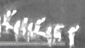 Курахово (ДНР). Добровольная сдача в плен украинских боевиков.