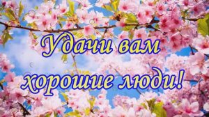 Хорошего дня. Пожелание  добра и удачи всем!