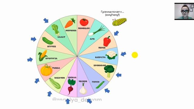 Подготовительная группа. Логопедия 9 смотреть онлайн
