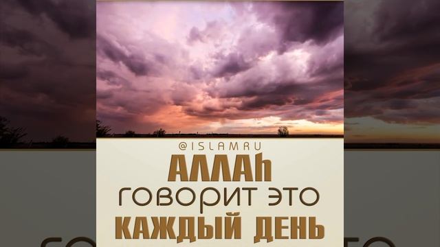 Аллах говорит это каждый день смотреть онлайн