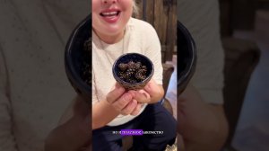 Что за фишка вяленая шишка?