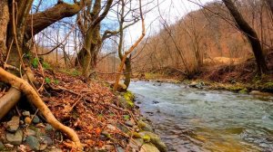 Журчание ручья