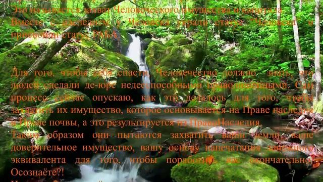 НСПЧ 7 смотреть онлайн