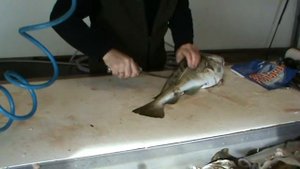 В чем разница между просто ножом и хорошим ножом .