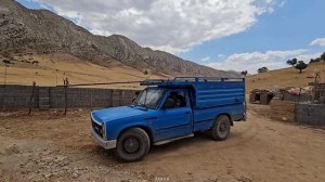 🛁🐑🐐🛁🐐Peren family routine.  Tahmworth is building a big watering hole for goats