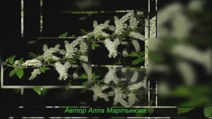 АХ ЧЕРЁМУХА БЕЛАЯ!! исп. МАРИНА ЖУРАВЛЁВА.