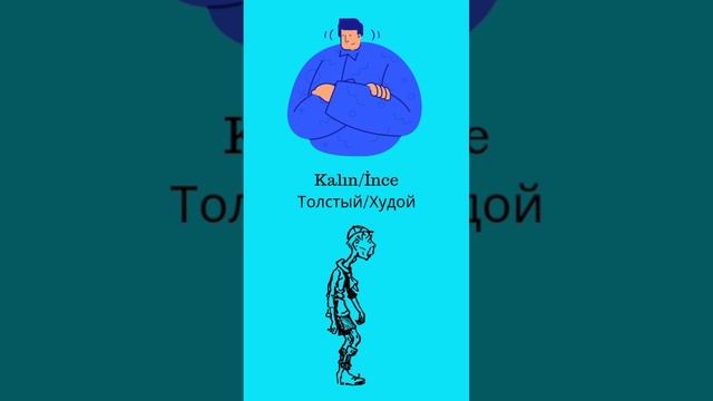 Противоположности/Турецкий язык смотреть онлайн