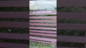 Резиновая краска. Что это такое?