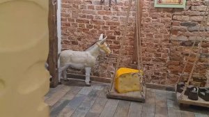 Золотое кольцо России, Кострома, Музей сыра, 2024