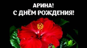 Поздравление с днём рождения Арины