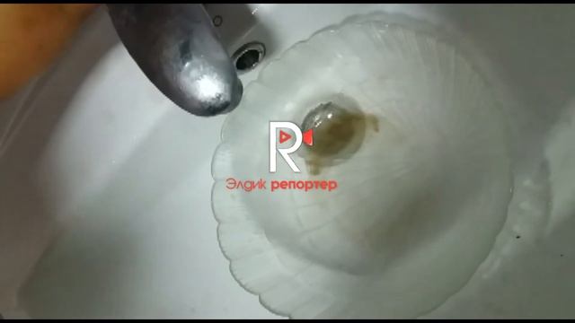 Элдик репортер: загрязненная вода в Караколе, как ее пить? смотреть онлайн