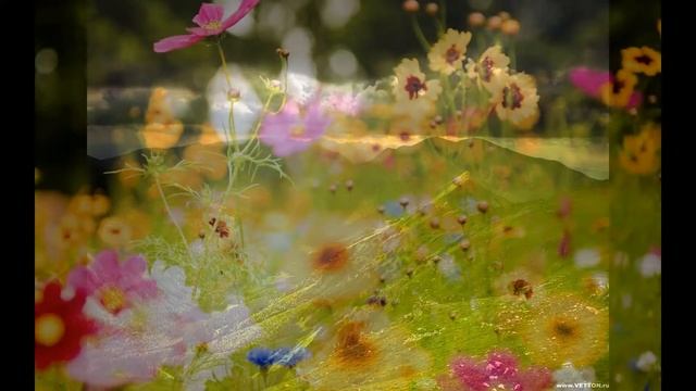 Для души смотреть онлайн