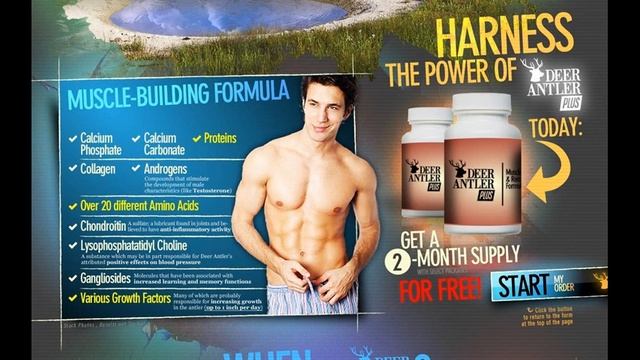 Best Muscle Building Formula смотреть онлайн