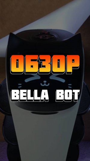Робот официант PUDU 'BellaBot'