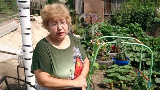 Садоводчество без воды и с долгами