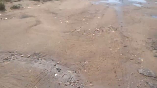 Последвствия мощного ливня в омске смотреть онлайн