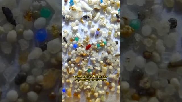 Микропластик в организме человека #история #факты