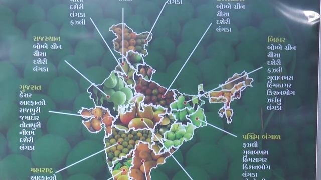 AMRA VAN смотреть онлайн