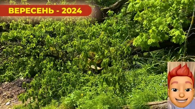Ніхто не чекав такої погоди, яка буде у ВЕРЕСНІ 2024 року | ПОГОДА НА ВЕРЕСЕНЬ - 2024