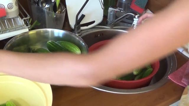 Огурцы на зиму маринование огурцов . Маринованные огурцы на зиму смотреть онлайн