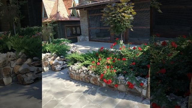 Путешествие в детство! (Лога парк, лето 2020) смотреть онлайн