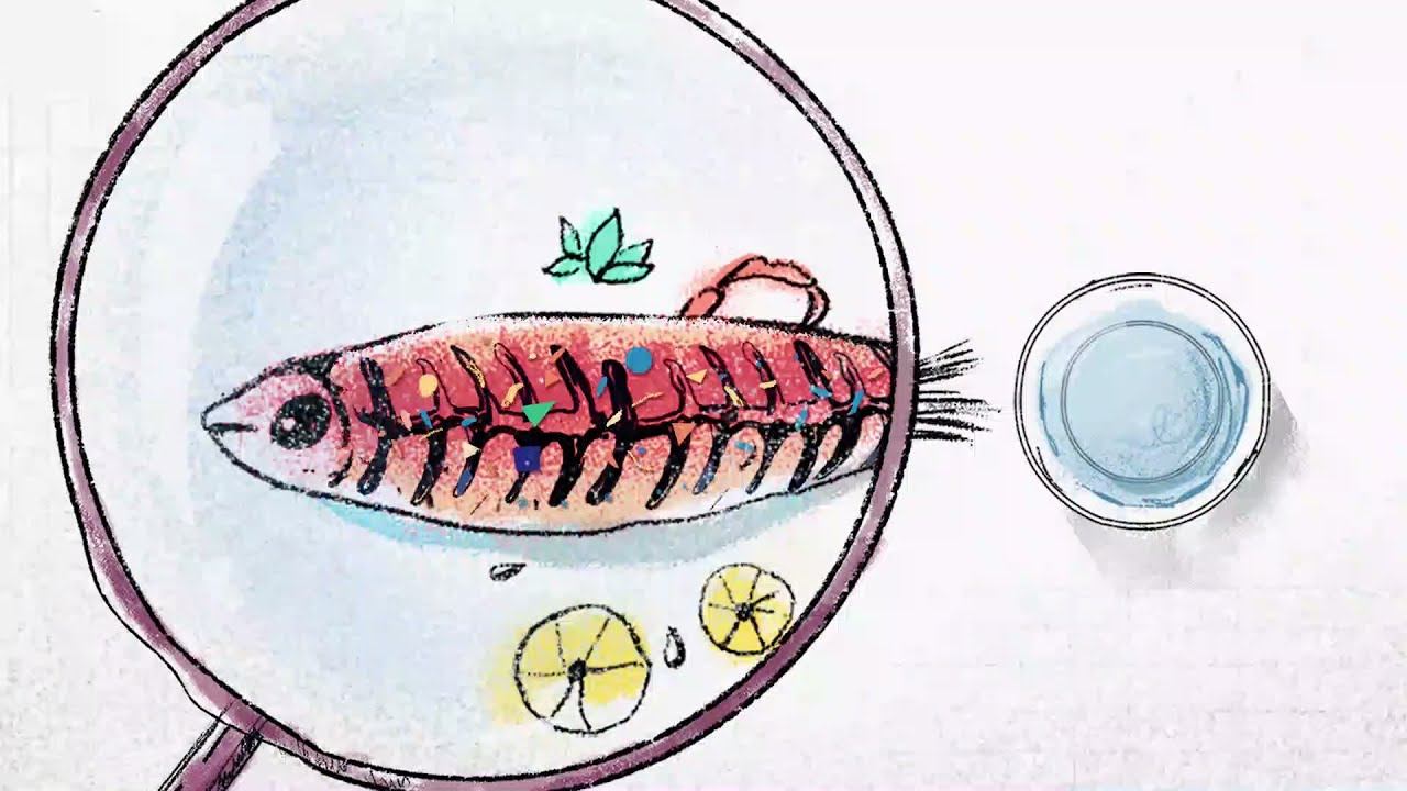 The Story of Microplastic